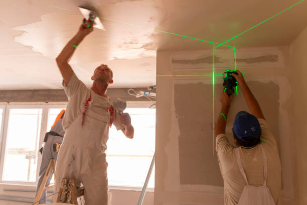 Best Asbestos and Lead Testing During Mold Inspection  in Pendleton, SC