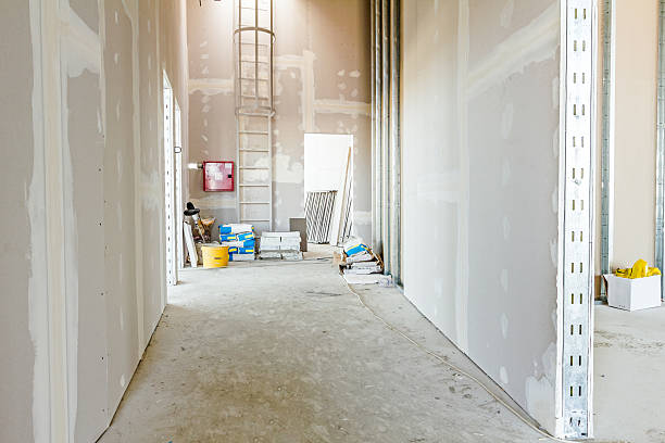 Best Mold Remediation for Healthcare Facilities  in Pendleton, SC